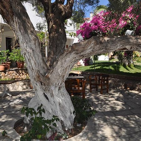 Villa Martha Spetses Town Luaran gambar